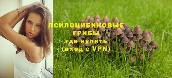 экстази Богданович