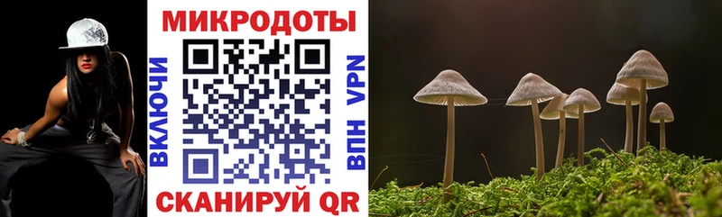 цены наркотик  Каменск-Уральский  Псилоцибиновые грибы MAGIC MUSHROOMS 